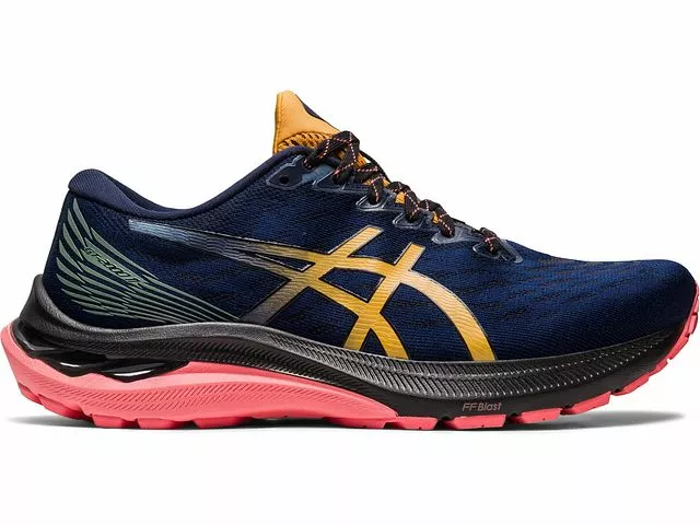 ASICS GT-2000 V11 Trail