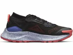 Nike Pegasus Trail 3 GTX