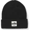 Smartwool Patch Beanie